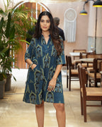 The Poshakh Indigo Jharokha Shirt Dress